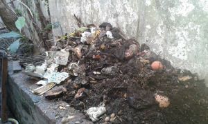 cosecha de tierra compost cosecha de tierra compost