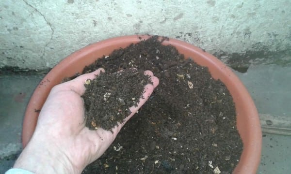 cosecha de tierra compost cosecha de tierra compost