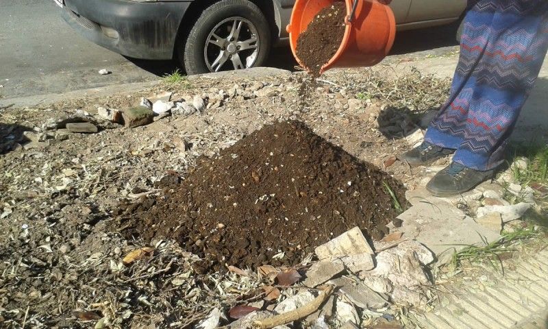 cosecha de tierra compost cosecha de tierra compost