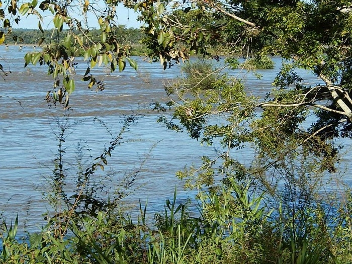 Reserva Natural Otamendi, Buenos Aires, Argentina
