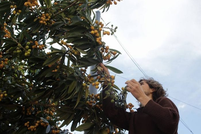 La ciudad nos regala sabores