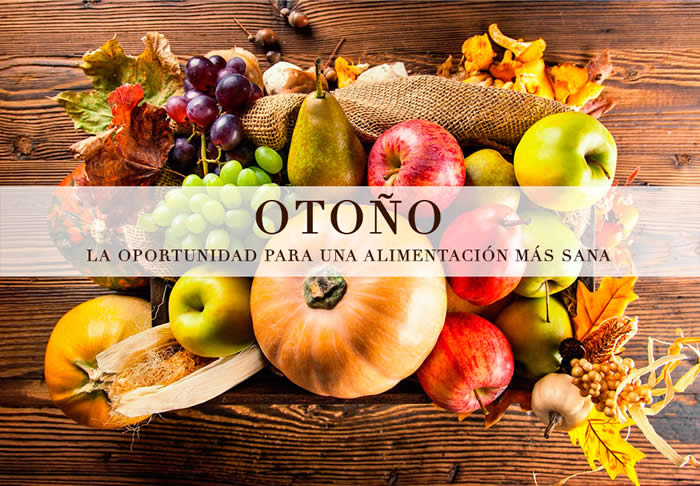 Alimentación Saludable de Otoño Diana Berinstein Alimentacion para Otoño Diana Berinstein