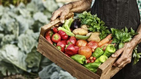 del productor a la mesavida sana laura tabernise nutrición holística