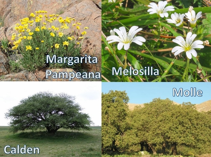 Parque Nacional Lihue Calel, La Pampa, Argentina