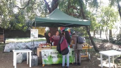 bolson soberano agronomia