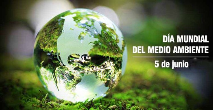 Dia Mundial del Medio Ambiente Radio Solar