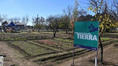 huerta organica