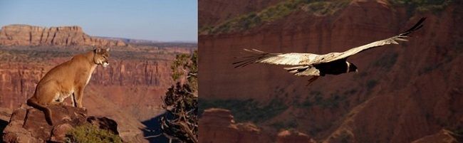 Parque Nacional Sierra de las Quijadas, San Luis, Argentina