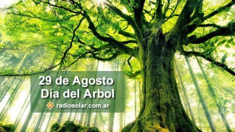 Día del árbol 29 de Agosto