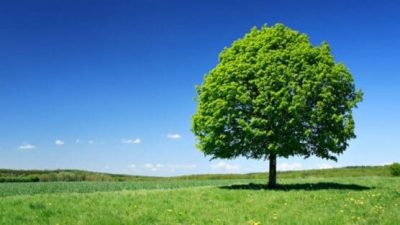 Imagen huella de carbono