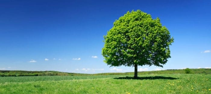 ¿Que es la huella de carbono? | Radio Solar que es la huella de carbono