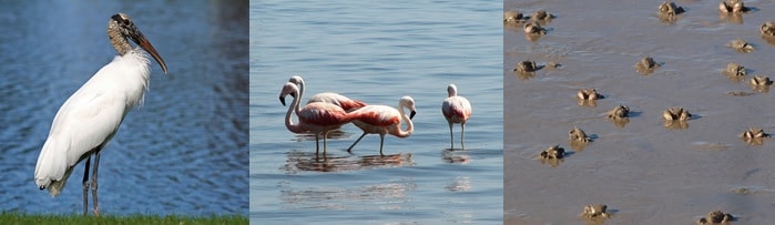 Laguna de Mar Chiquita, Cordoba, Argentina