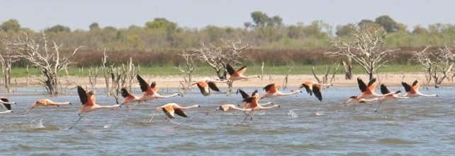 Laguna de Mar Chiquita, Cordoba, Argentina