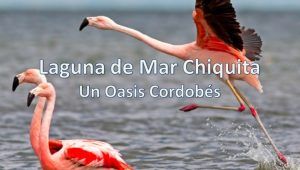 Laguna de Mar Chiquita Imagen Destacada