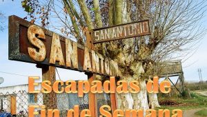 SA Areco Imagen Destacada