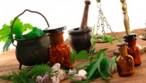 plantas-medicinales-