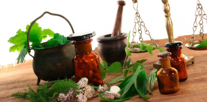 Plantas Medicinales - Medicina Integrativa