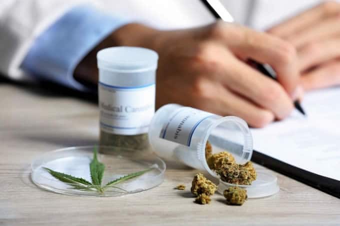 Cannabis Medicinal Primera Clínica en Pilar - Buenos Aires