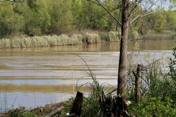 Humedales Delta