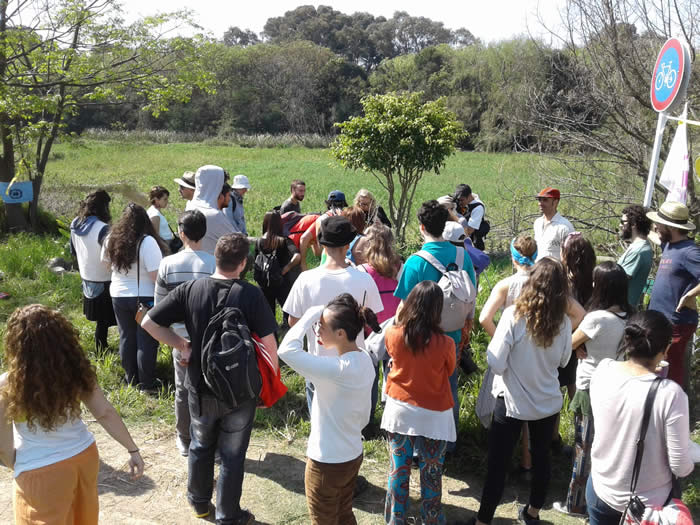 juntos somos un bosque - arboles