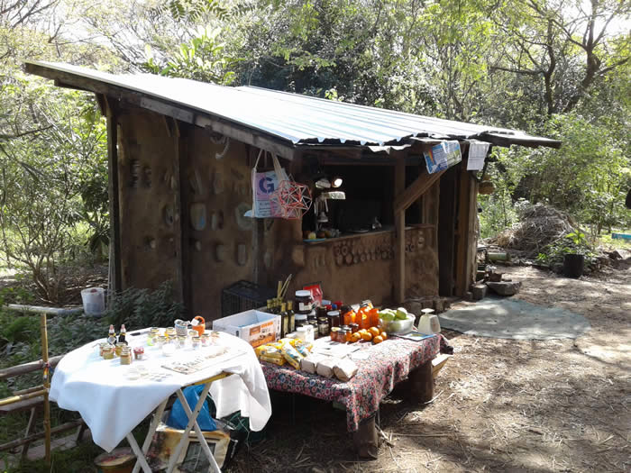 juntos somos un bosque - feria