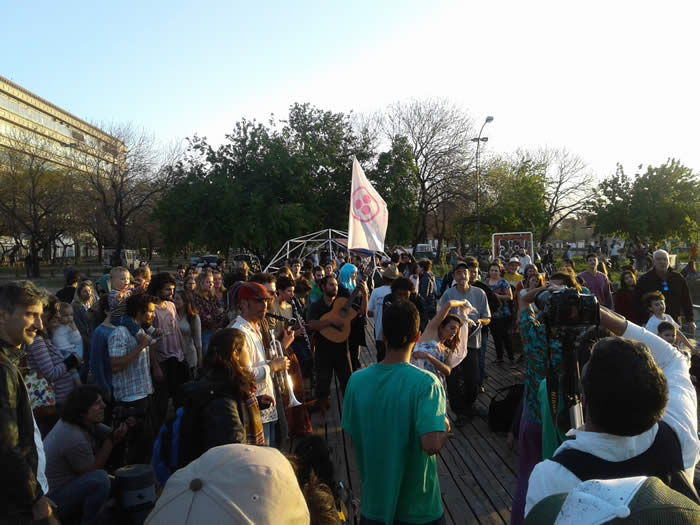 juntos somos un bosque - paz