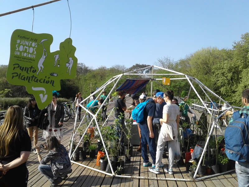 juntos somos un bosque - plantacion colectiva juntos somos un bosque - plantacion colectiva