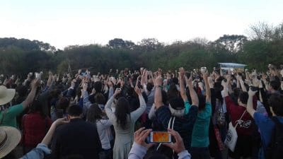 juntos somos un bosque – siembra colectiva
