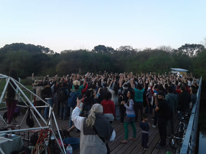 juntos somos un bosque