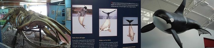 Puerto Madryn, Chubut, Argentina