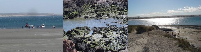 Puerto Madryn, Chubut, Argentina