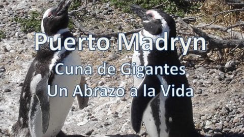 Puerto Madryn, Chubut, Argentina