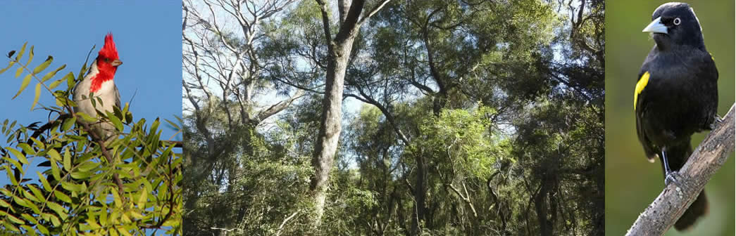 Resistencia, Chaco, Argentina