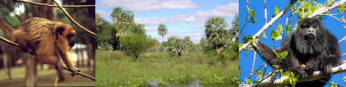 Resistencia, Chaco, Argentina
