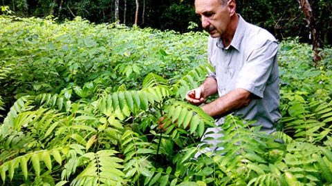 Horacio Schenone Fundación Bosques