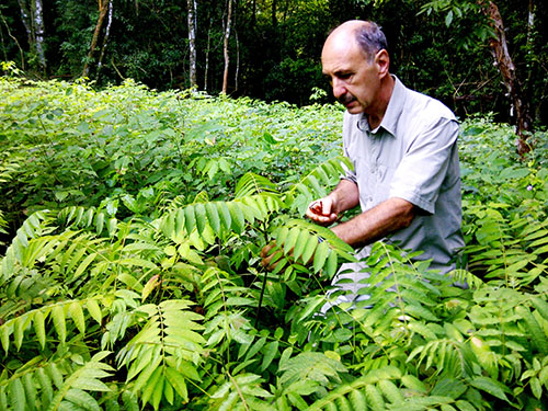 Horacio Schenone Fundación Bosques
