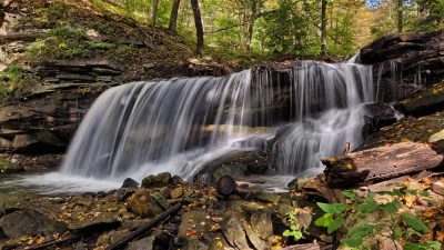 ecologia agua y aire