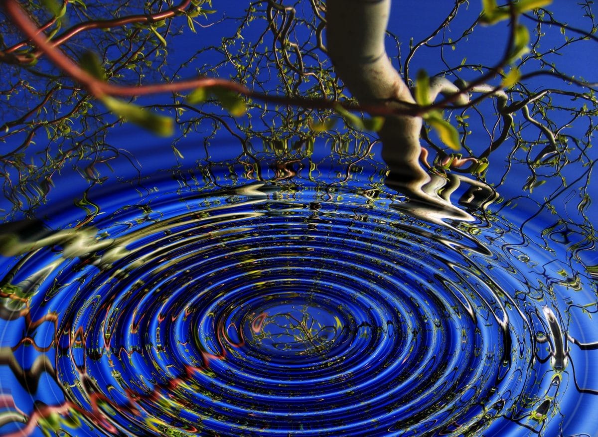 Día Mundial del Agua 22 Marzo