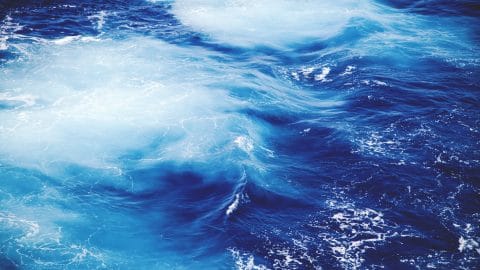 Día-Mundial-del-Agua-22-de-Marzo-
