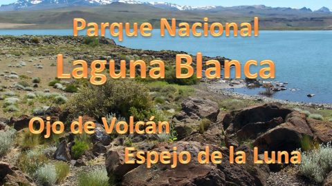 Parque Nacional Laguna Blanca, Neuquen, Argentina