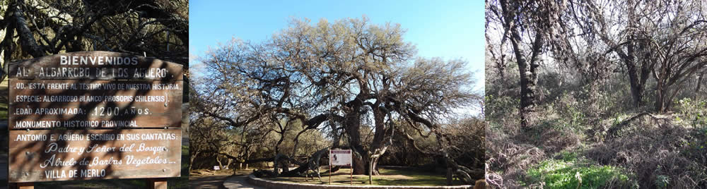 Villa de Merlo, San Luis, Argentina
