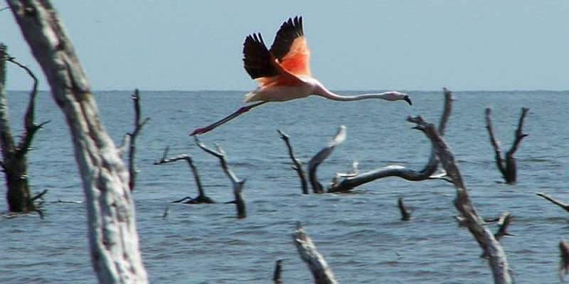 Mar Chiquita, Buenos Aires, Argentina