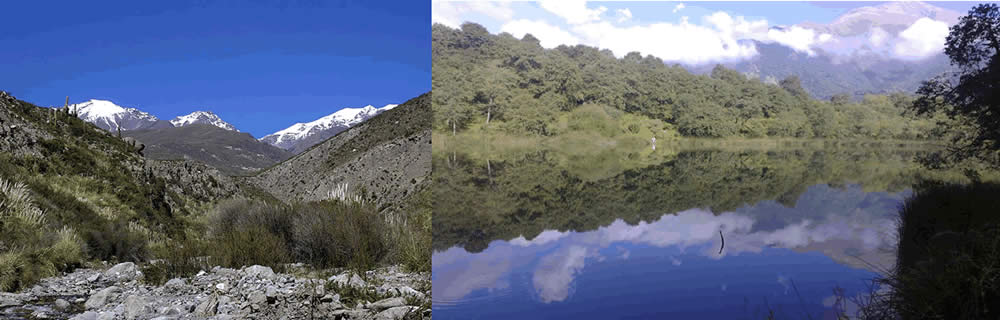 Parque Nacional Campo de Los Alisos, Tucuman, Argentina