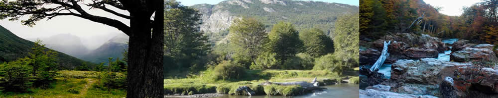 Parque Nacional Tierra del Fuego, Tierra del Fuego, Argentina