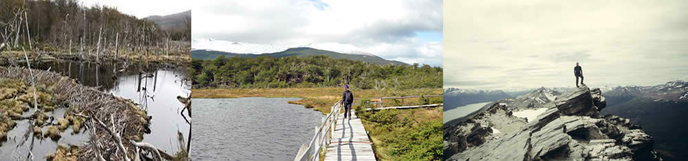 Parque Nacional Tierra del Fuego, Tierra del Fuego, Argentina