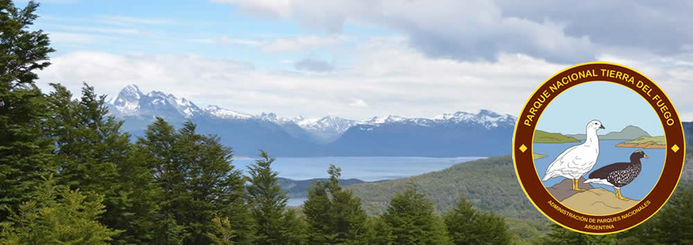 Parque Nacional Tierra del Fuego, Tierra del Fuego, Argentina Parque Nacional Tierra del Fuego, Tierra del Fuego, Argentina