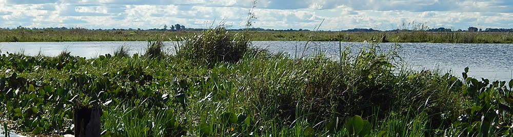 Carlos Pellegrini, Corrientes, Argentina