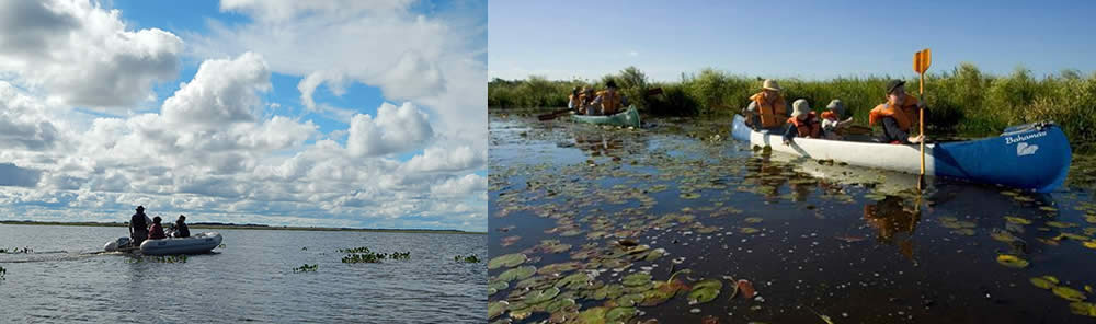 Carlos Pellegrini, Corrientes, Argentina
