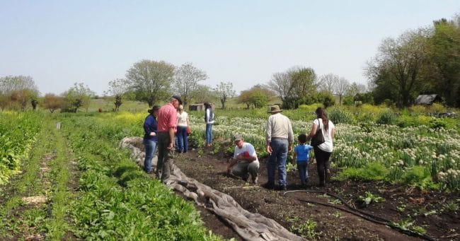 Entre Ríos Gualeguaychu separación de residuos y huerta.