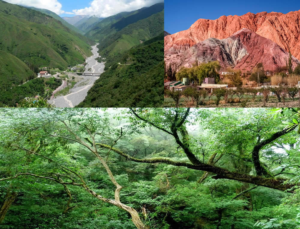 Puna, Jujuy. Argentina